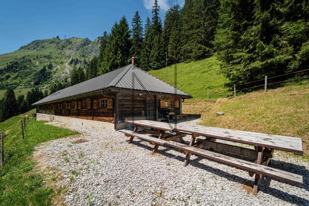 HAVRE DE PAIX AU PIED DU MOLESON EN GRUYERE